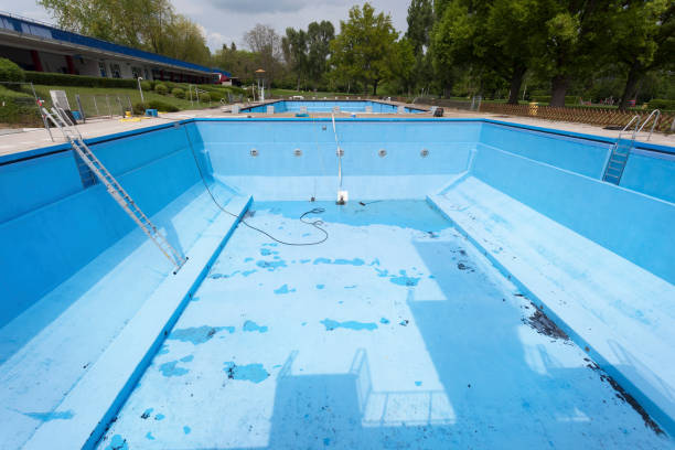 Best Flood damage cleanup  in Cricket, NC