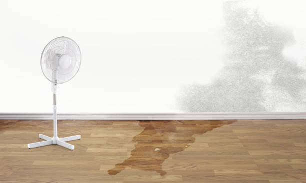 Carpet water damage restoration in Cricket, NC