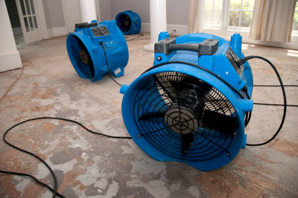 Best Basement water damage restoration  in Cricket, NC