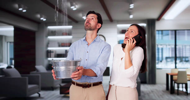 Best Local water damage restoration  in Cricket, NC