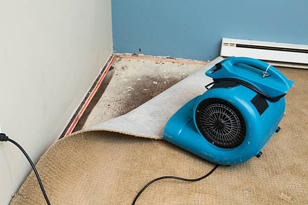 Trusted Cricket, NC Water damage restoration Experts